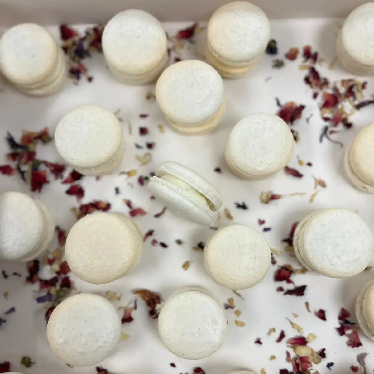 macaron vanille cassis framboise apprendre à pâtisser chez Candice Bakes
