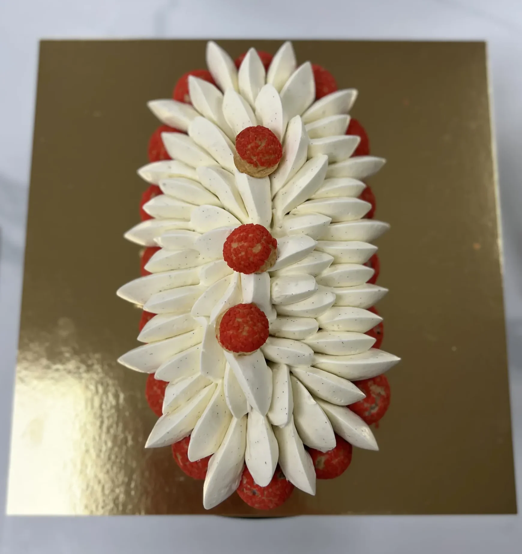 Atelier pâtisserie pour adultes à Sainte-Marguerite, Vosges : réalisez une bûche façon St-Honoré vanille-framboise, élégante et gourmande, alliant croustillant, douceur de la vanille et acidité de la framboise. Une activité créative pour perfectionner vos techniques et partager un moment convivial.